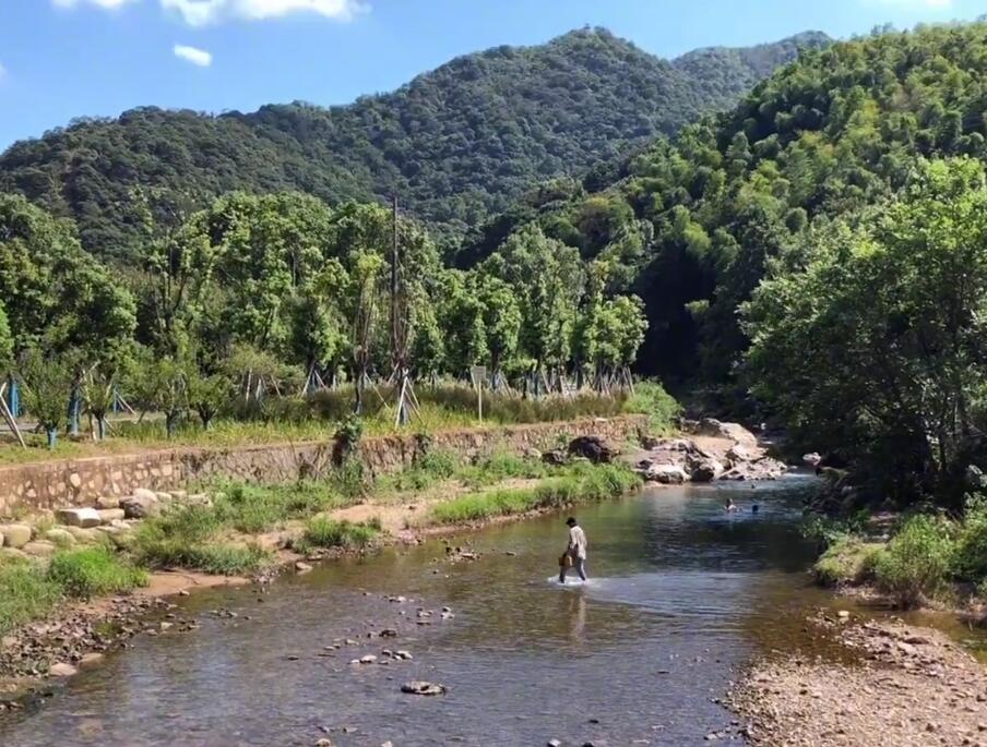 浙江宁波北仑森林植物园景点介绍1