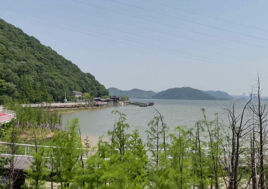 浙江杭州青山湖森林公园(国家级)景点介绍1