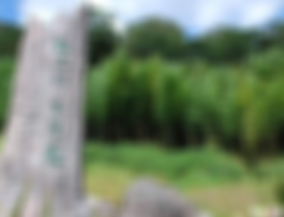 福建龙岩步云红豆杉生态园景点介绍1