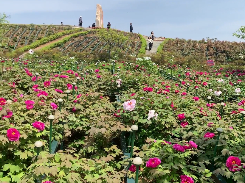 福建泉州仙公山朝天阁景点介绍1