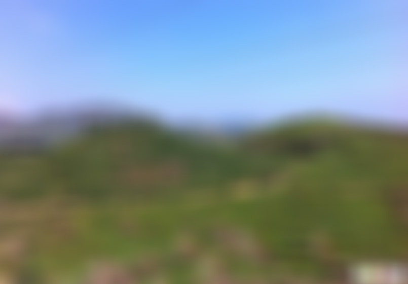 福建厦门罗汉山观音庙景点介绍1