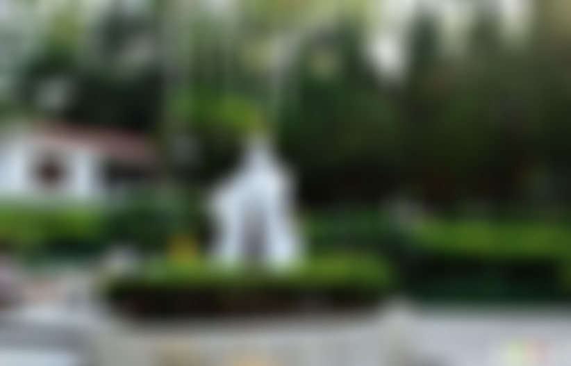 福建龙岩芷溪村古祠景点介绍1