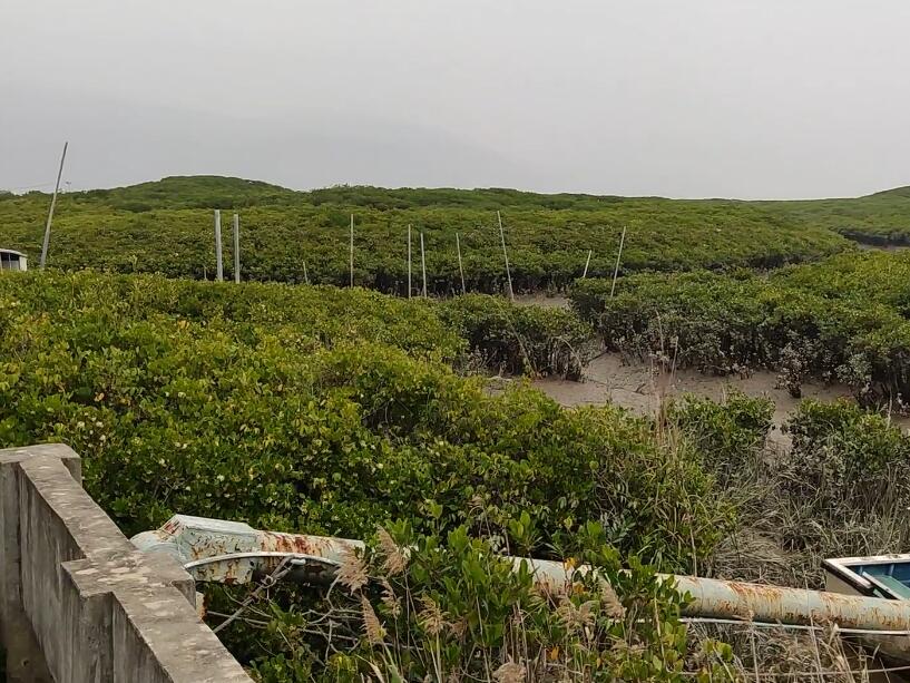 福建泉州安平桥瑞光塔景点介绍1