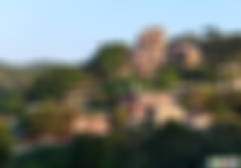 福建龙岩李氏大宗祠景点介绍1