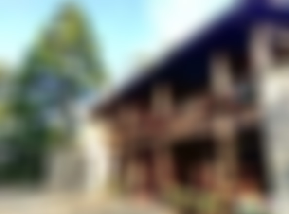 福建厦门大离埔屿景点介绍1