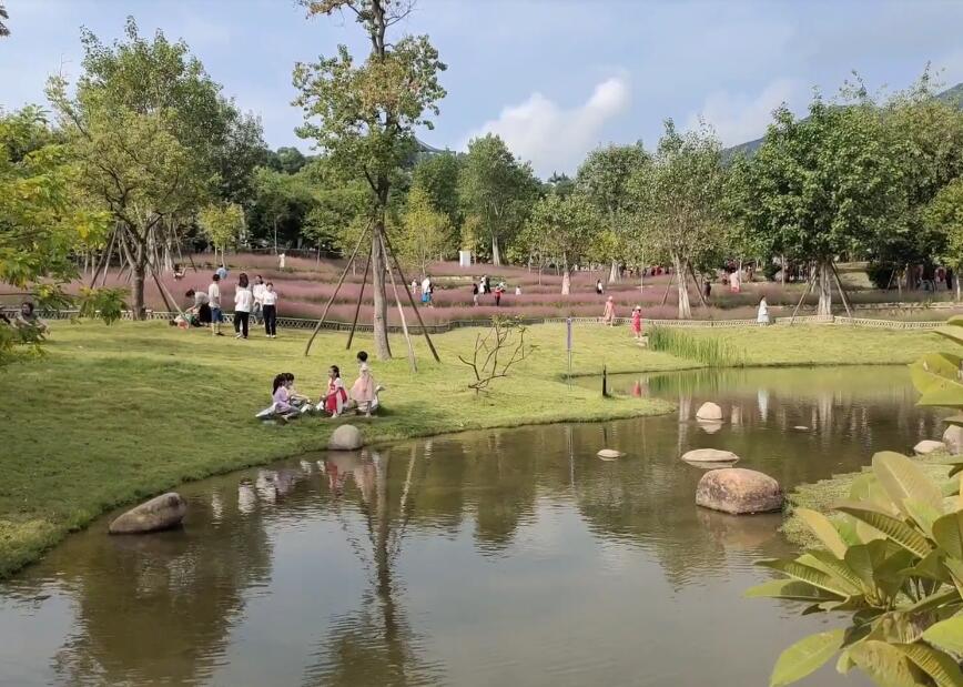 福建龙岩龙岩博物馆景点介绍1