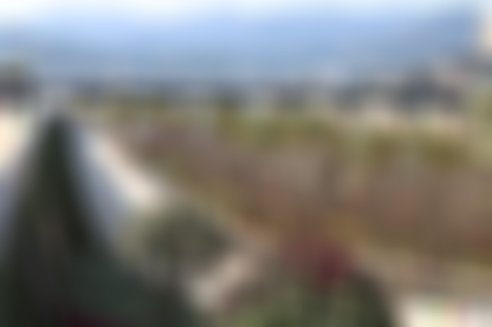 福建福州小汤山生态公园景点介绍1