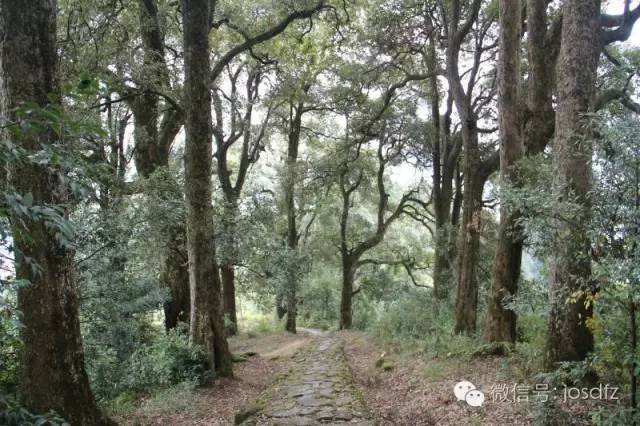 福建南平擎天岩景点介绍2