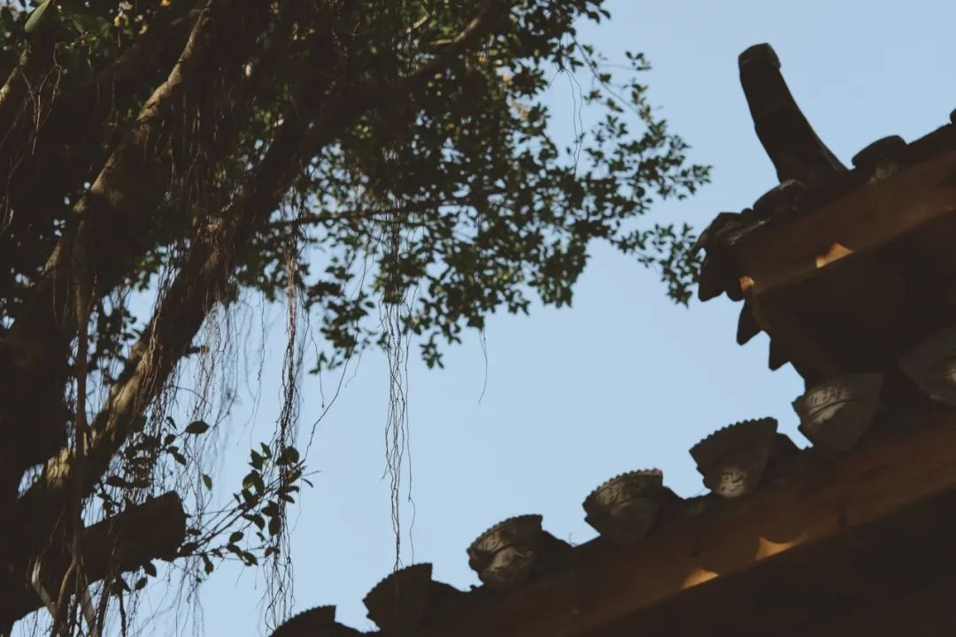 福建宁德报恩寺景点介绍2