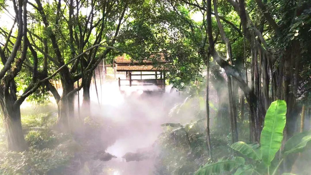 福建厦门大轮山风景区景点介绍2