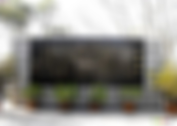 福建三明蓬仙岩景点介绍1