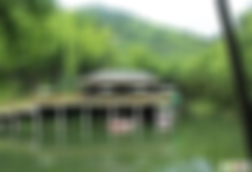 福建三明九龙竹海森林公园景点介绍1