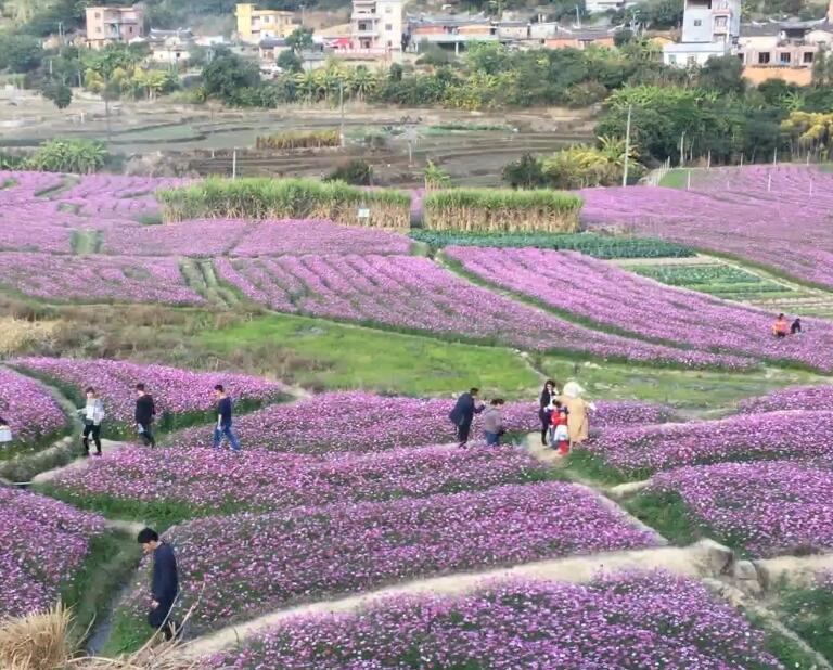 福建三明古溪星河休闲农谷景点介绍1