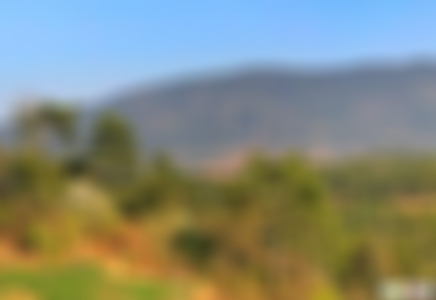 福建三明玉虚洞风景区景点介绍1