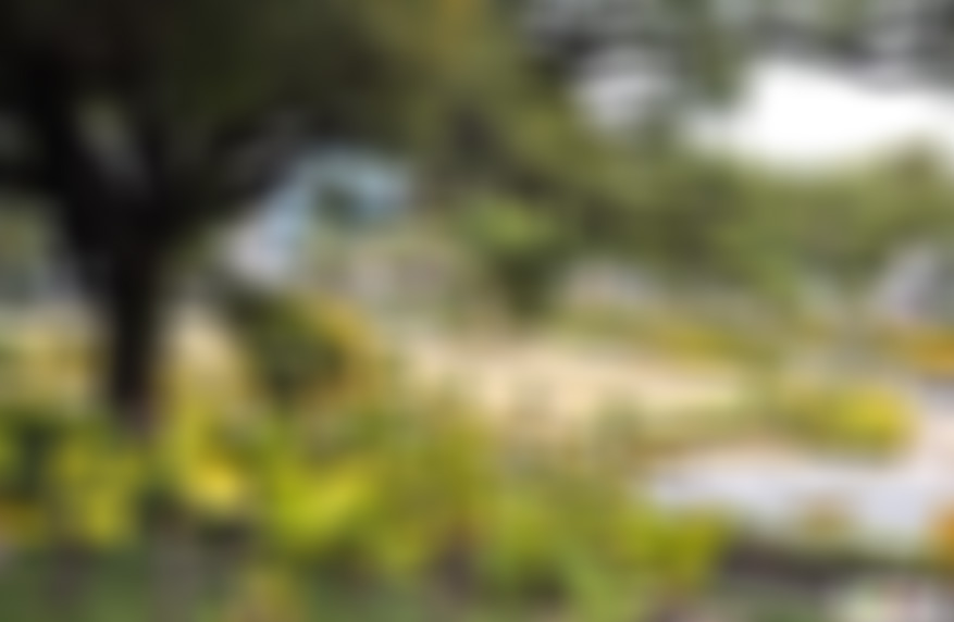 福建龙岩龙岩中山公园景点介绍1