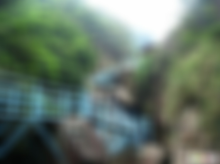 福建厦门鼓浪屿杨家园景点介绍1