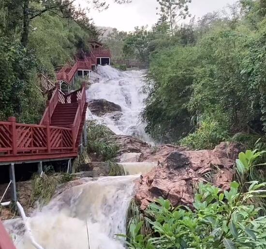 福建漳州灵鹫寺景点介绍1