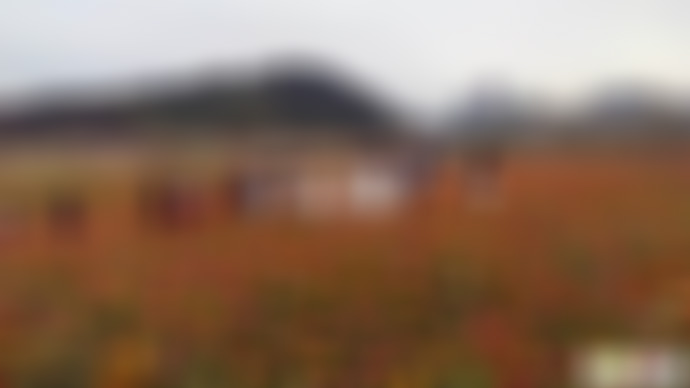 福建泉州铭楷休闲山庄景点介绍1