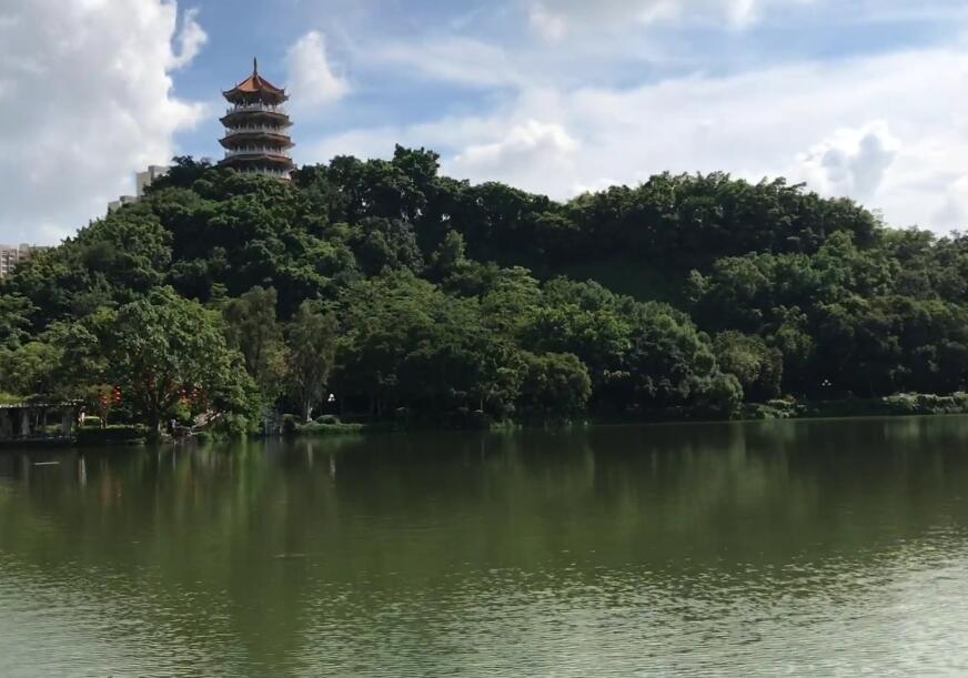 福建龙岩东肖森林公园景点介绍1