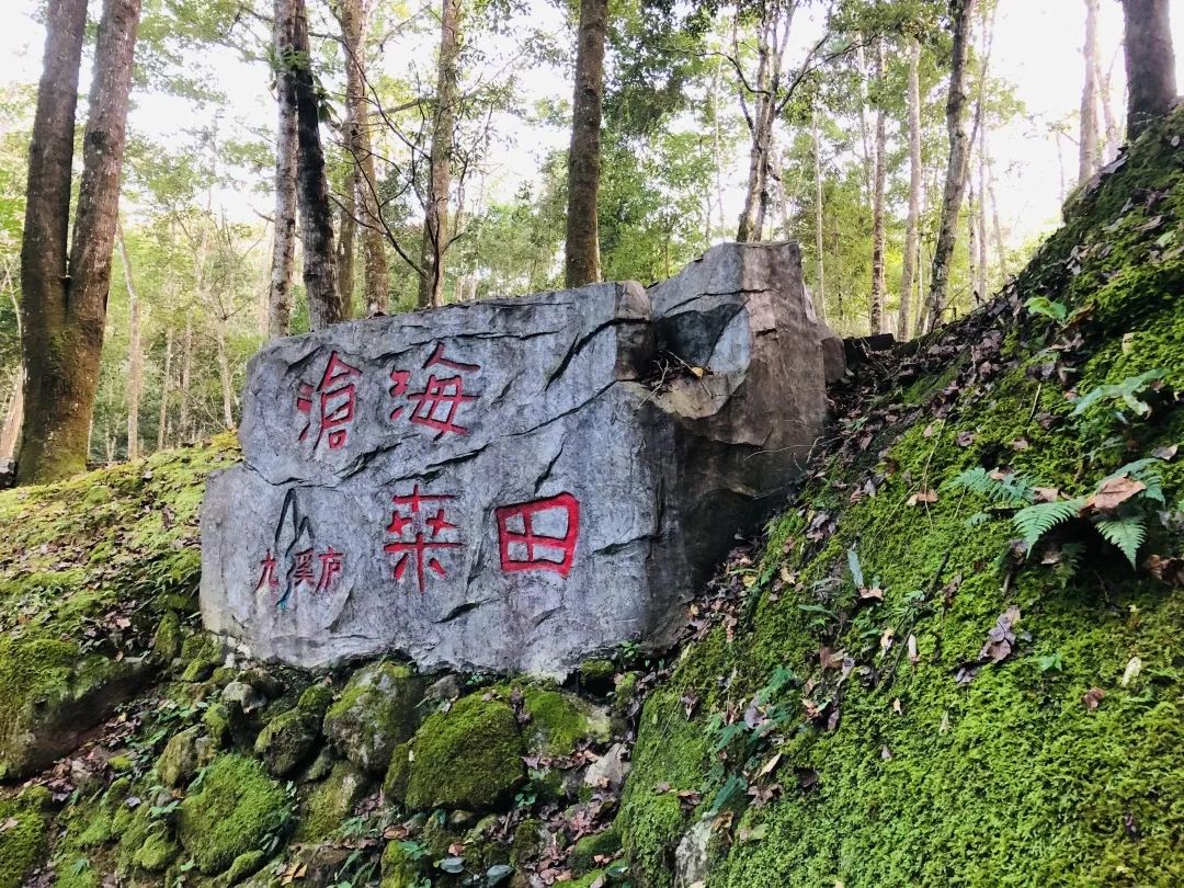 福建龙岩九溪庐原始森林漂流景点介绍2