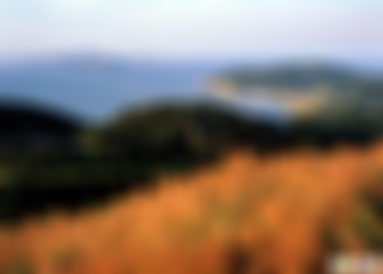 福建泉州泉州华侨革命历史博物馆景点介绍1