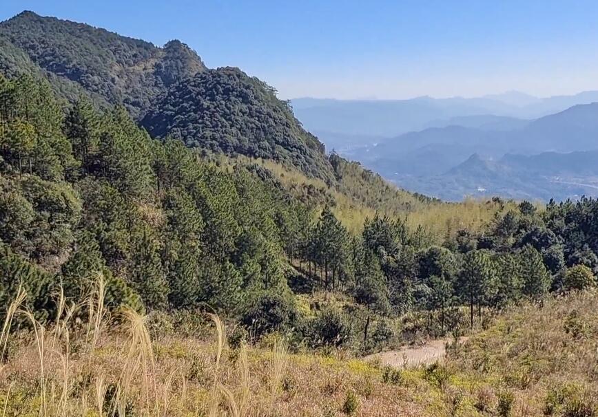 福建莆田望江山风景区景点介绍1