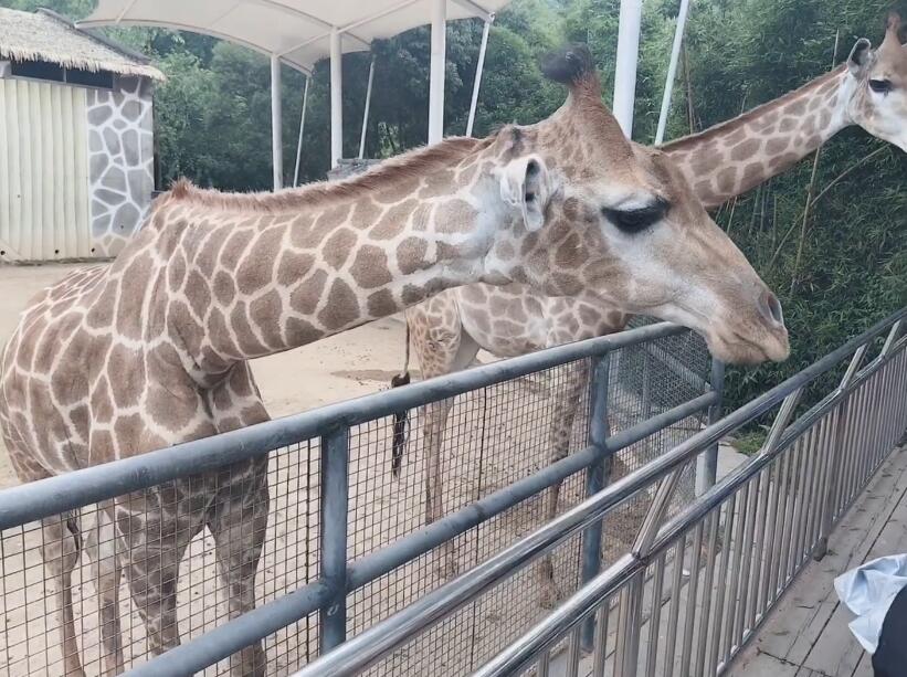 福建福州兔耳山风景区景点介绍1