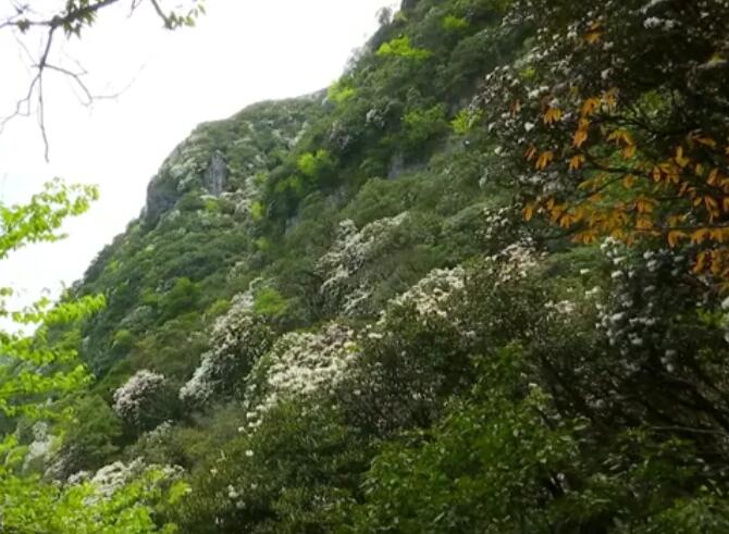 福建宁德仙岩风景区景点介绍1