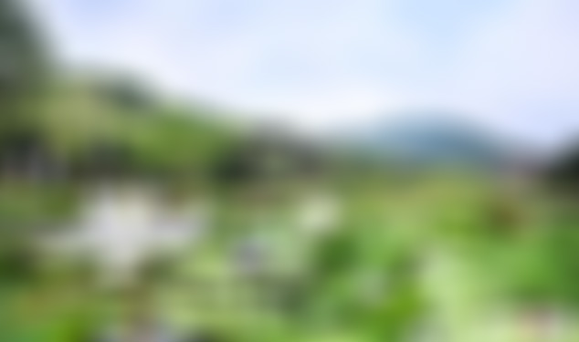 福建泉州九品香水莲花生态园景点介绍1