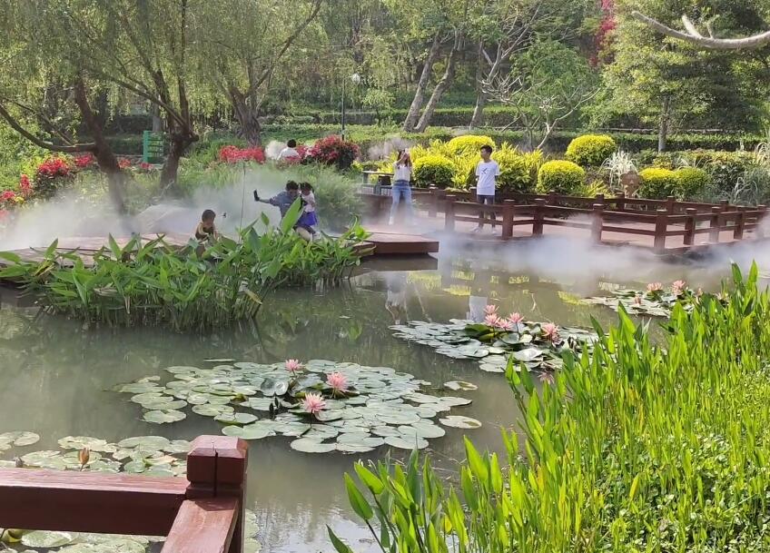 福建厦门大屏山公园景点介绍1