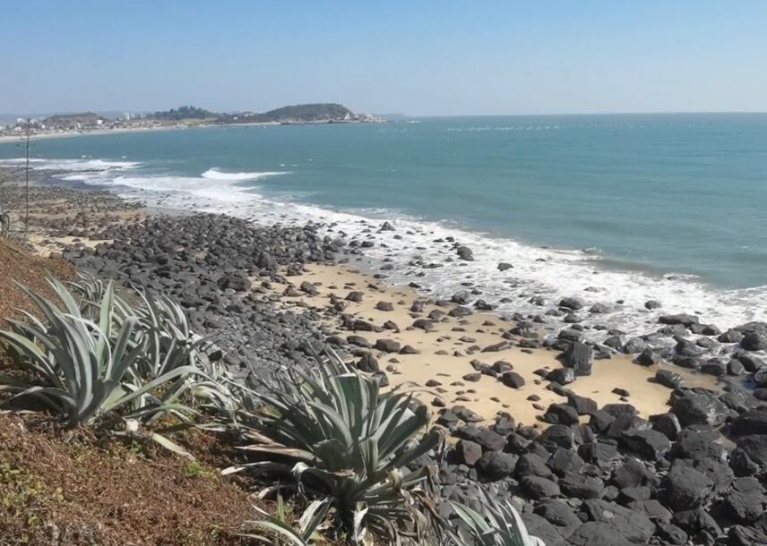 福建泉州国心绿谷茶庄园景点介绍1