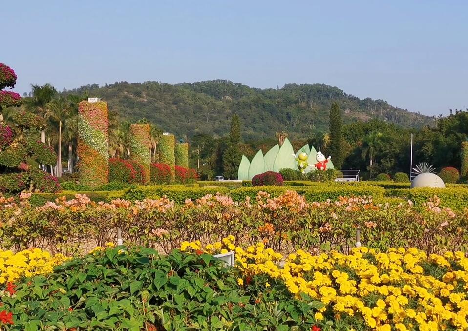 福建漳州东南花都花博园(国家4A级)景点介绍1