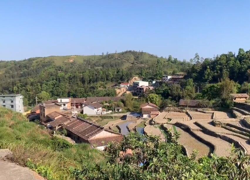 福建莆田大蜚山森林公园景点介绍1