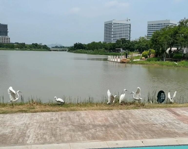 福建漳州云顶温泉景点介绍1