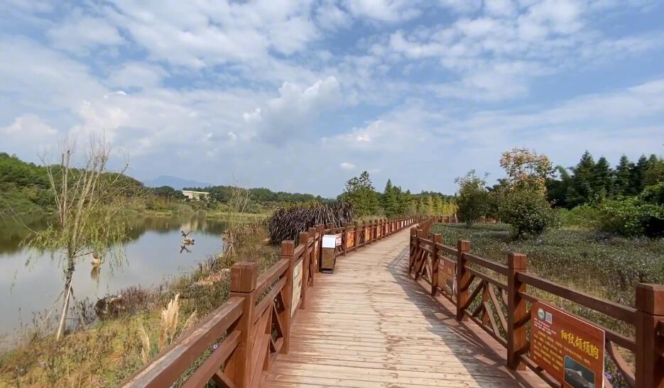 福建龙岩千鹭湖湿地公园景点介绍1