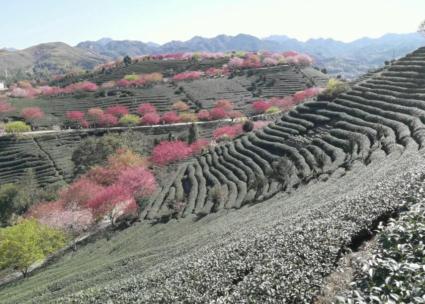 福建龙岩冠豸山风景区(国家4A级)景点介绍1