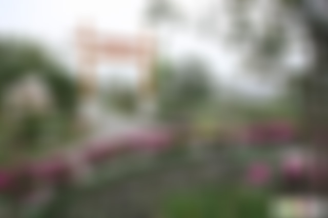 江苏泰州天德湖书庐深居展园景点介绍1