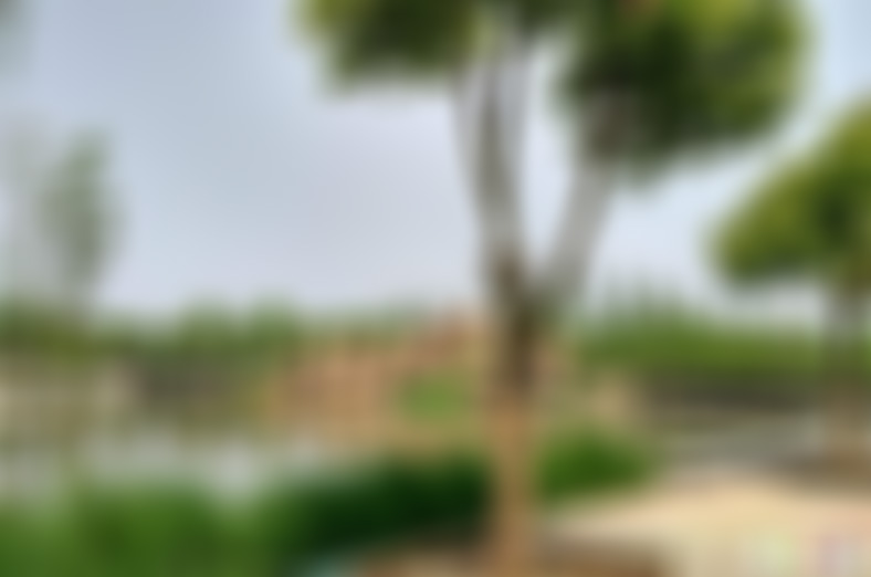 江苏无锡新桥毛纺产业博物馆景点介绍1