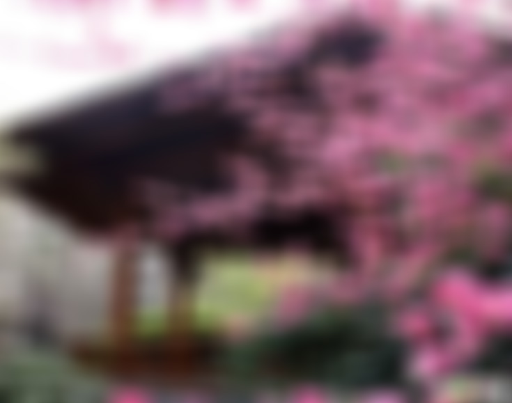 江苏盐城安丰显卿古井景点介绍1