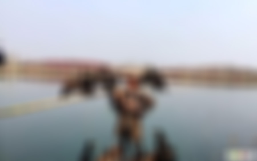 江苏徐州珠山水杉步道景点介绍1