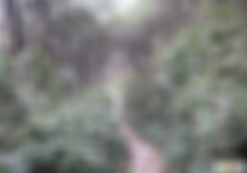 江苏盐城丹顶鹤湿地驯化中心景点介绍1