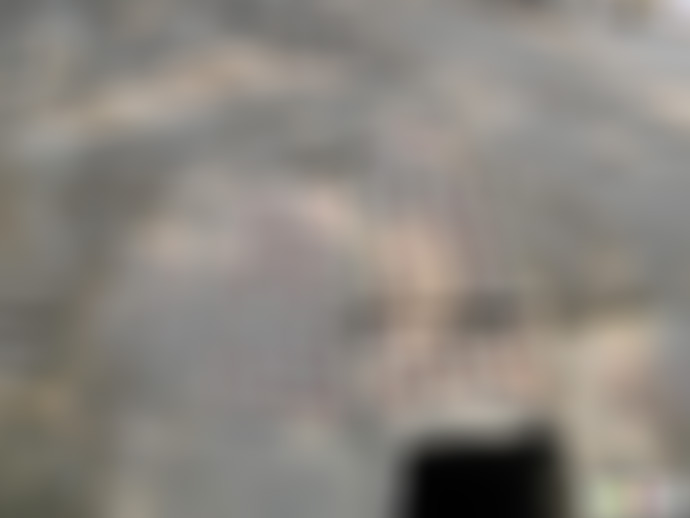 江苏泰州溱潼石桥明月景点介绍1