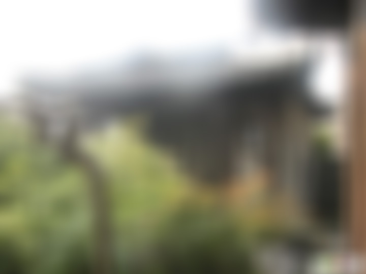 江苏泰州乔园因巢亭景点介绍1