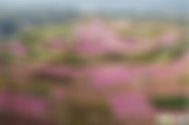 江苏连云港花果山猴苑景点介绍1