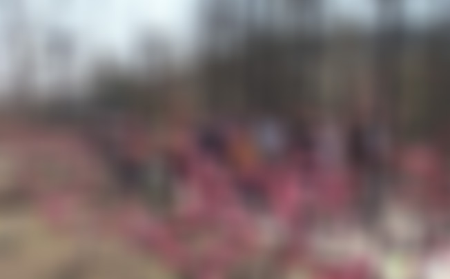 江苏徐州泉山桃花园景点介绍1