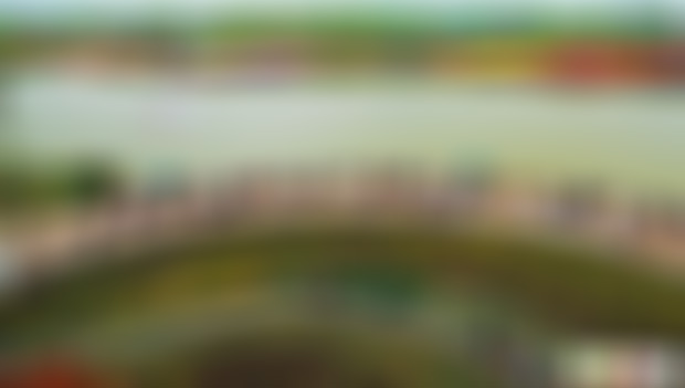 江苏盐城荷兰花海情湖景点介绍1