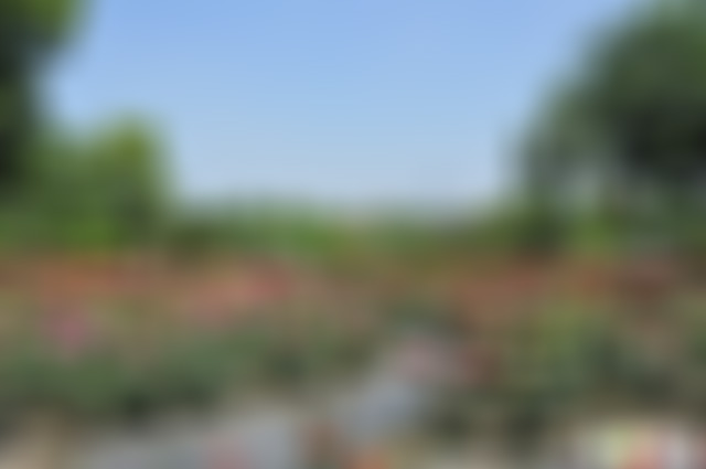 江苏徐州泉山百寿园景点介绍1