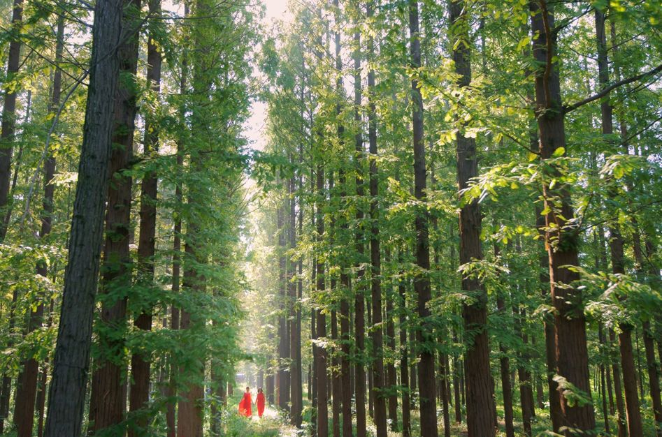 江苏宿迁洪泽湖爱情公园景点介绍2