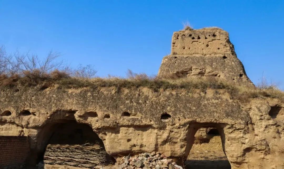 江苏扬州中国养蜂学会博物馆景点介绍1