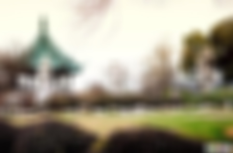 江苏常州淹城遗址竹木井景点介绍1